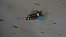 ����_����_1
