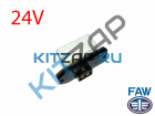   (24v)