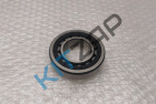 ��������� ��� �������������� ���� ������ (������)