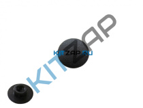 ������ ��������_����_0